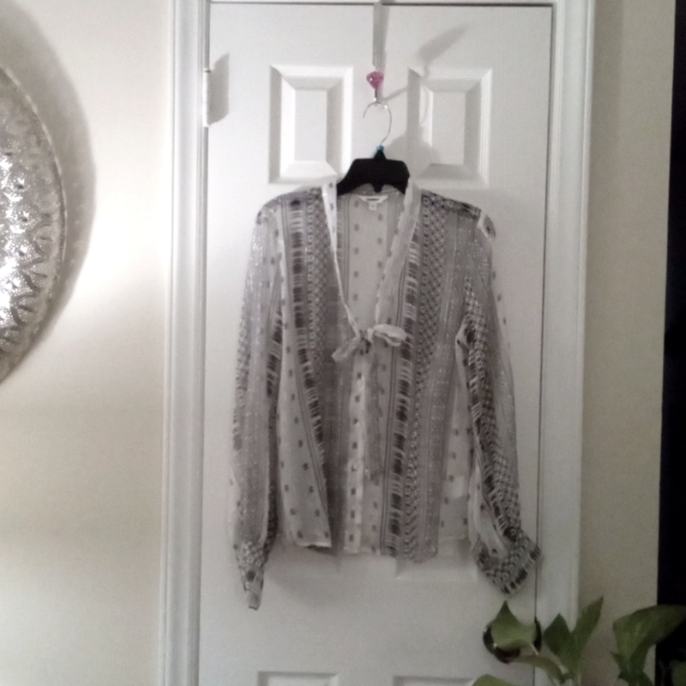 Express sheer  blouse